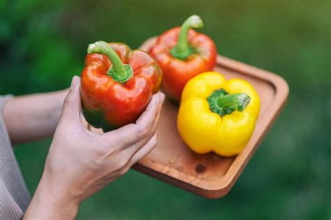 Premium Photo Midsection Of Person Holding Red Bell Peppers