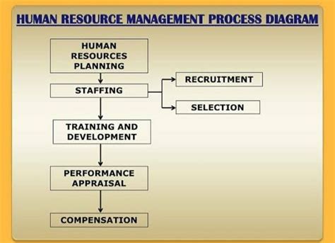 human resources management process diagram hr management process