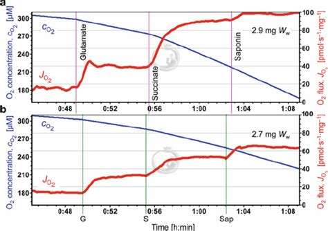 Saponin Test For Cell Membrane Permeabilization Oxygraph Traces Of