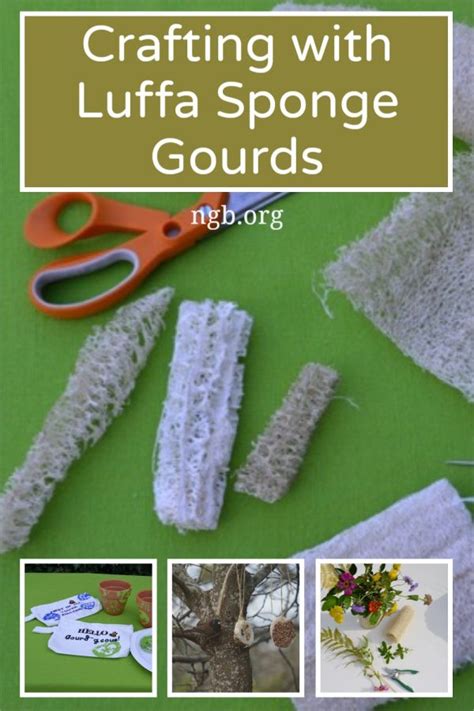 Crafting with Luffa Sponge Gourds - National Garden Bureau