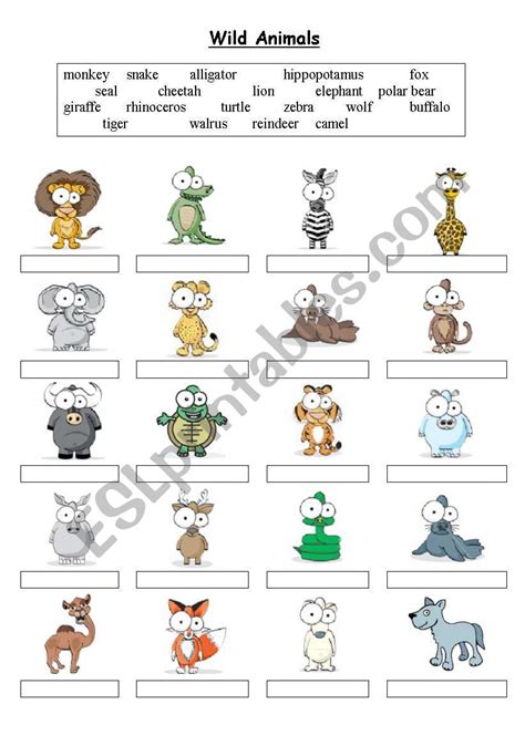 Wild Animals Matching Exercise Esl Worksheet By Arantha