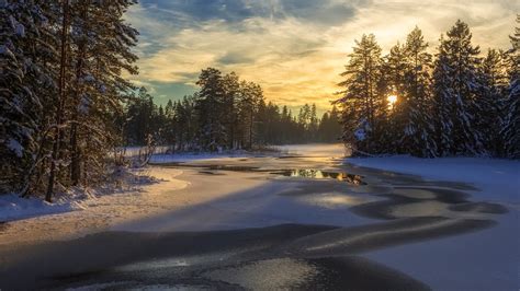 Fonds d écran Suède neige arbres rivière hiver coucher de soleil