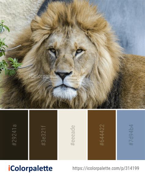 Color Palette Ideas From Lion Wildlife Mammal Image Icolorpalette