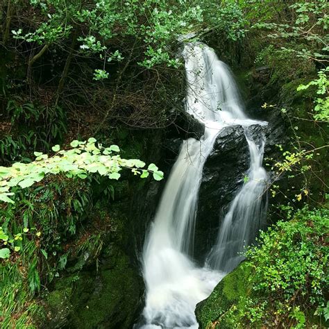 Tollymore Forest waterfalls in Northern Ireland | Ireland Before You Die