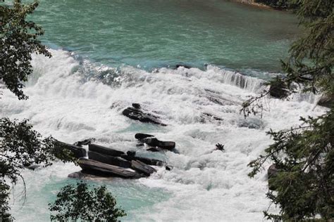 Balsismo de 5h en el río Fraser en el Parque Nacional Jasper GetYourGuide