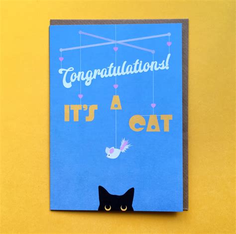 Congratulations Cat Meme