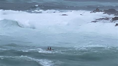 Salen Al Mar En Pleno Temporal Con Una Moto De Agua Y Obligan A