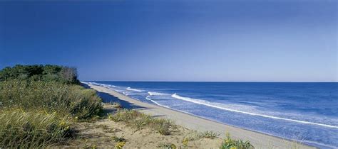 Coast Guard Beach | Cape Cod Massachusetts | NEVR