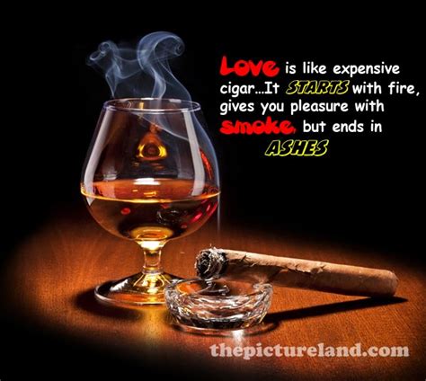 Funny Cigar Quotes. QuotesGram