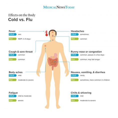 A Cold or The Flu? – Malin Medical