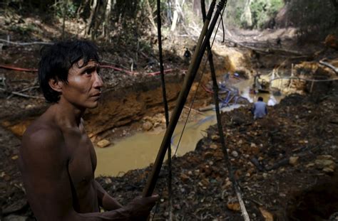 Fotos Garimpos De Ouro Ilegais Na Floresta Amaz Nica Brasil El Pa S