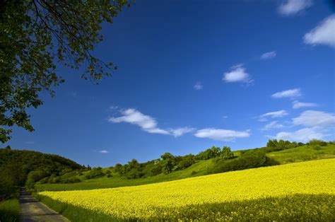 Papel de parede luz solar panorama Colina natureza céu campo