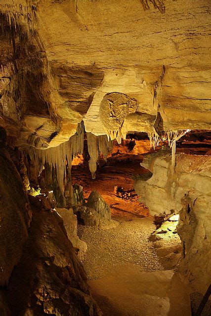 Raccoon Mountain Caverns | Naturaleza fotos, Cuevas, Grutas