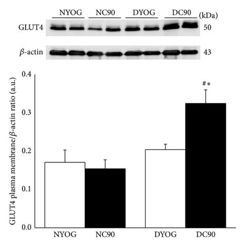 AKT activation (a) and plasma membrane GLUT4 content (b) in... | Download Scientific Diagram