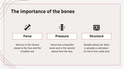 Head and Neck Muscles Presentation