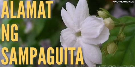 Alamat Ng Sampaguita - PINOYALAMAT.COM