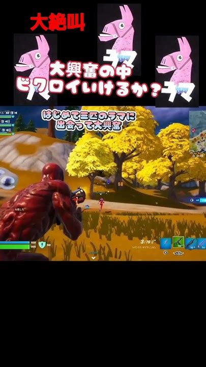 【フォートナイト】はじめて三匹のラマに出くわした‼️こんな大絶叫ははじめて！ビクロイいけるか？ Fortnite 実況 ラマ Youtube