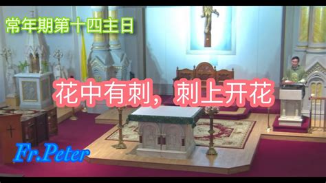 Fr Peter 常年期第十四主日花中有刺刺上開花 谷61 6 纽约显圣容堂） 7724 Youtube