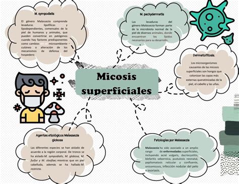 Micosis Superficiales Mari Hernandez Udocz