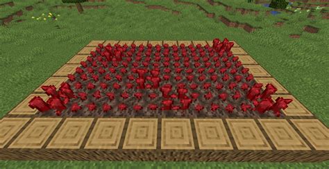 How To Make A Nether Wart Farm In Minecraft