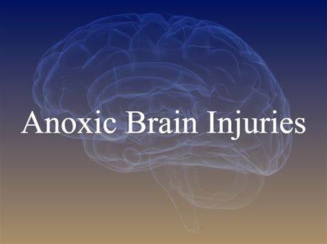 What Is An Anoxic Brain Injury