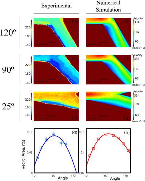 Comparison Between Experimental And Numerical Simulation Data In Half Download Scientific