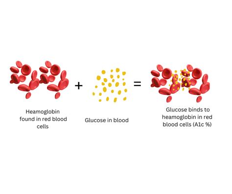 Understanding The Hba1c Test Your Key To Managing Diabetes Your Medication Working For You