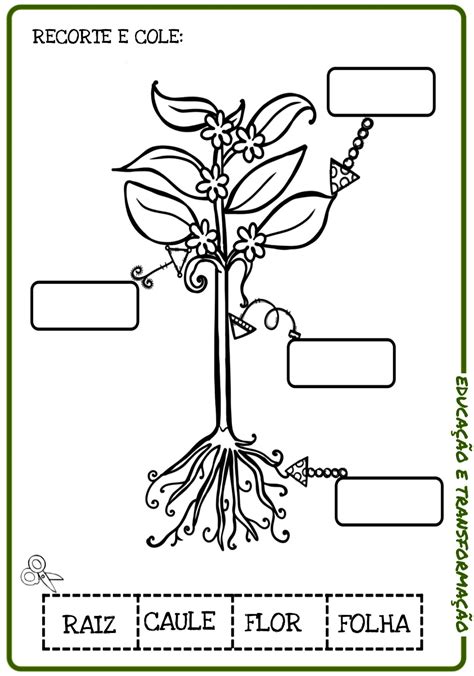 Ciclo De Vida Das Plantas Livrinho Com O Ciclo De Vida Das Plantas ~ Atividades Para Jardim