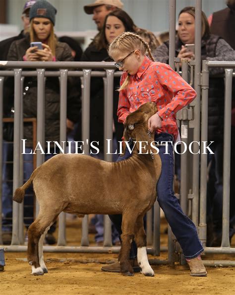 Hot Shots Lainie S Livestock