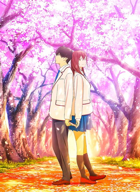 Anime I Want To Eat Your Pancreas Haruki Shiga Sakura Yamauchi HD