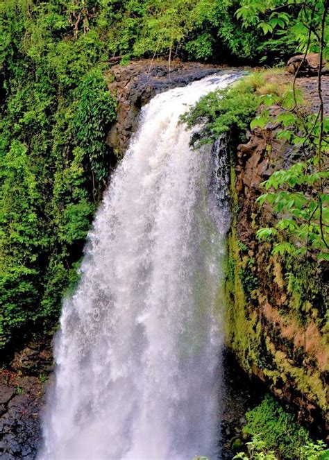 Pin By Sarah Cole On Waterfalls In Waterfall Waterfall