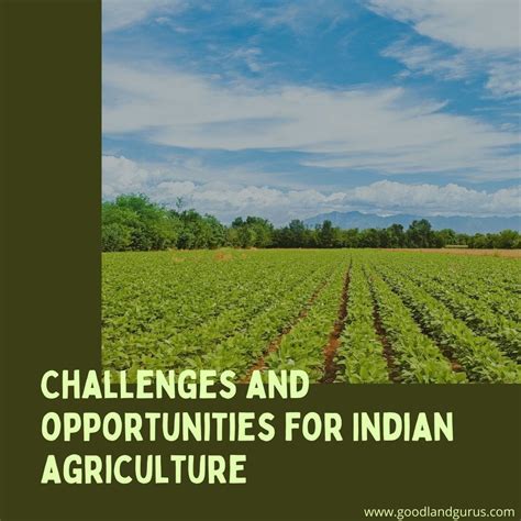 Challenges And Opportunities For Indian Agriculture By Good Land Gurus Medium