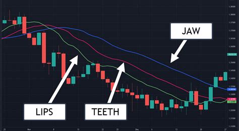 How To Apply The Alligator Indicator When Trading Stocks R