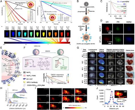 Longlived Second Nearinfrared Luminescent Probes An Emerging Role In