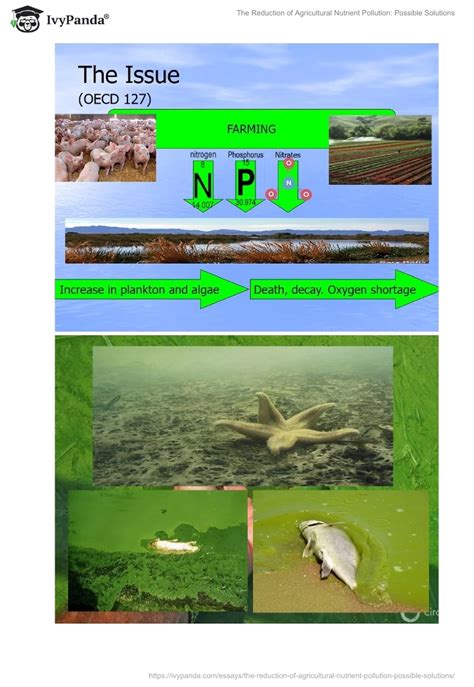 The Reduction Of Agricultural Nutrient Pollution Possible Solutions