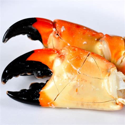 Buy Jonah Crab Claws Frozen 5 Lbs Juicy Crab Meat Crab Snacks Best