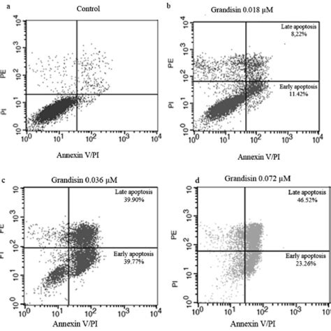 Analysis Of K562 Cells Treated With Grandisin 1 X 10 6 Cells Ml For 24 Download Scientific