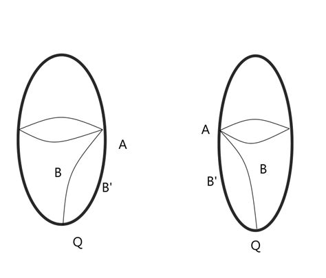 S 2 {3,2,2} with one saddle point. | Download Scientific Diagram