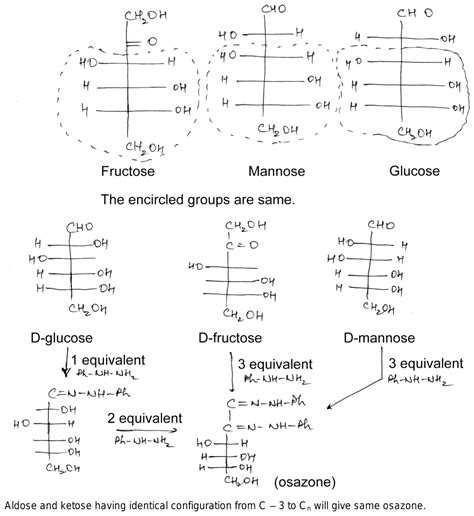 Explain With Structures How The Osazones Of Glucose Fructose And