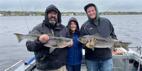 Miramichi Bay Outfitters Your Destination For Striped Bass Fishing In