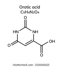 Structural Chemical Formula Orotic Acid Stock Vector (Royalty Free ...