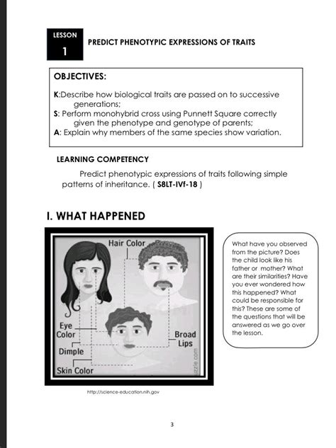 LESSON PREDICT PHENOTYPIC EXPRESSIONS OF StudyX