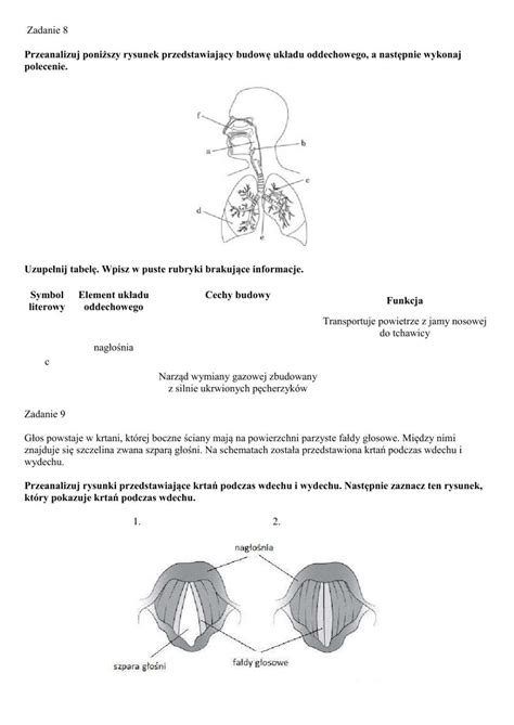 Układ oddechowy skóra karta pracy worksheet School Subjects Google