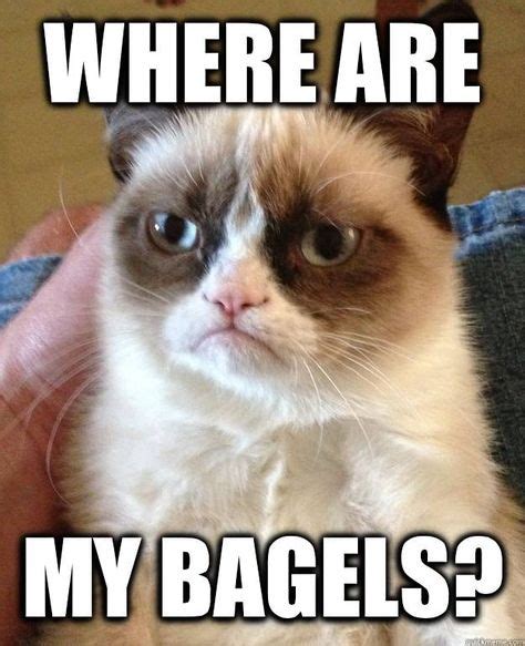 11 Bagel Humor ideas | humor, bagel, funny pictures