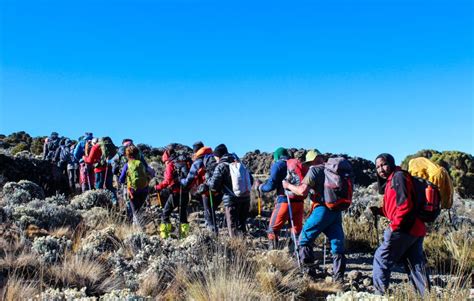 7 Days Kilimanjaro Guided Hiking Experiences Oserok Trips