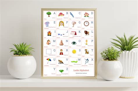 LATIN Alphabet CHART With Words and English Translations - Etsy