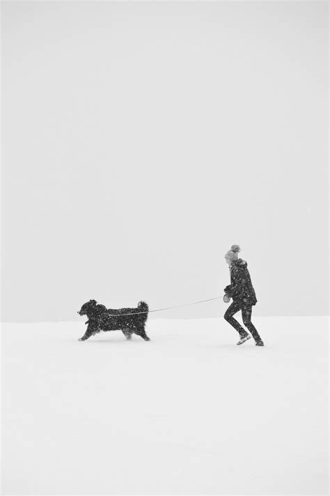 Person Walking On Snow Covered Ground With A Dog · Free Stock Photo