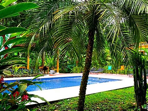 7 Hotels with Infinity Pool in Puerto Viejo - Isa's Guide