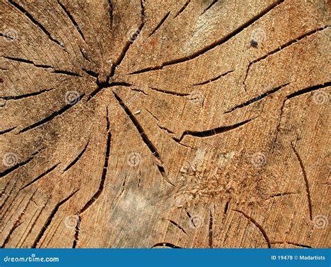 Old Wood Grain Cracks Texture Royalty Free Stock Photos Image 19478