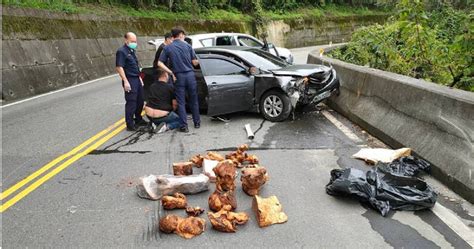 越籍山老鼠橫行！5000元買通台人幫盜紅檜樹瘤 遭警開槍打中左肩還想逃 社會 Ctwant